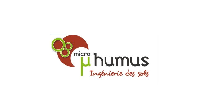 logo hummus