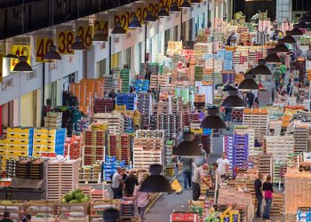 Vue du marché d'intérêt national de Bordeaux Brienne.