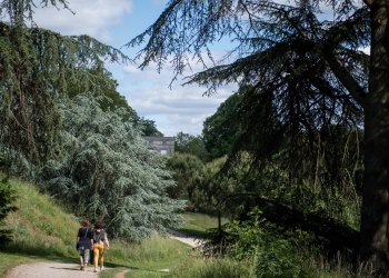 deux personnes pendant une randonnée dans un chemin forestier