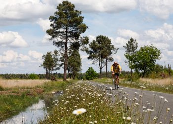 cycliste sur une route de campagne