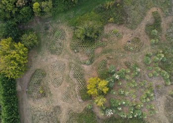 Vue de drone de l'oeuvre Passerelles de Julien Mouroux dans la forêt