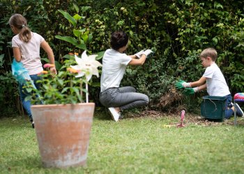 Compost en famille