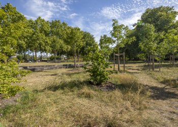 Vue du parc des Angéliques avec des arbres