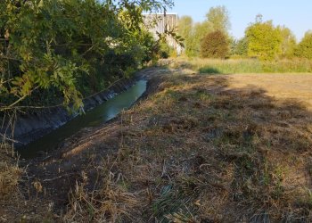 Vue du quartier de la réserve écologique des barails  avec le stade matmut atlantique en fond