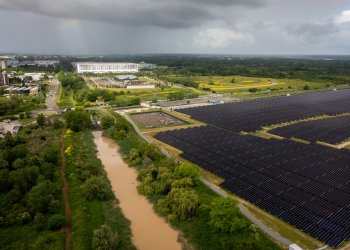 vue d'un champs de panneaux photovoltaiques