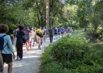 groupe de tourisme dans un parc