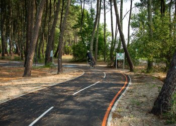 Vue du parcours Reve à Bruges avec un cycliste dans les bois