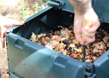 Gros plans sur des mains en train de composter des déchets