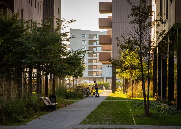 vue d'une allée avec de la pelouse au milieu de deux batiments et vue sur des logements