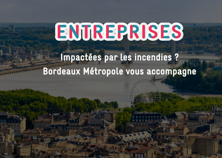 Vue de bordeaux avec l'écriture "Entreprise impactées, faites vous connaitre" 