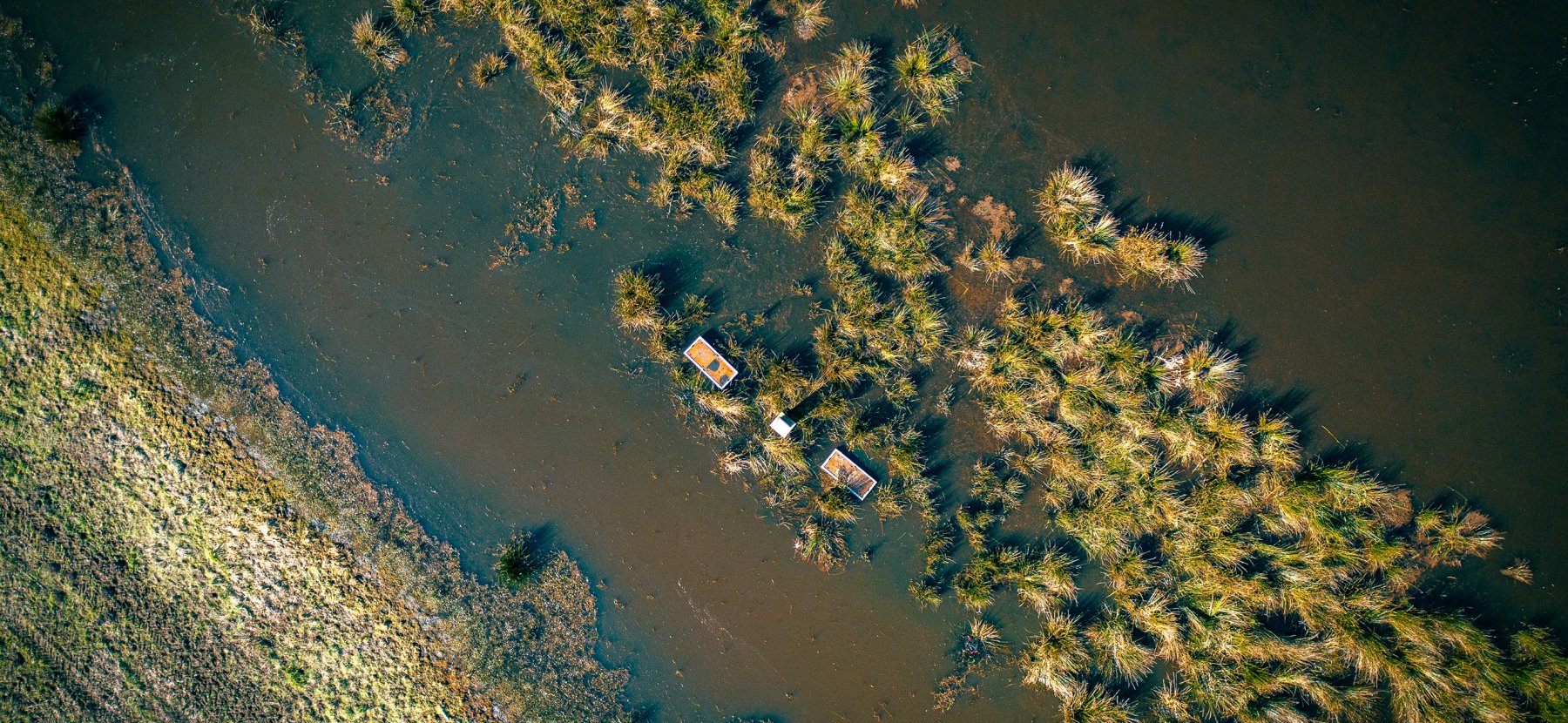 Vue aérienne des marais à Bruges