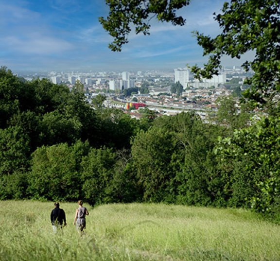 Vue de la métropole depuis la rive droite de la Garonne 