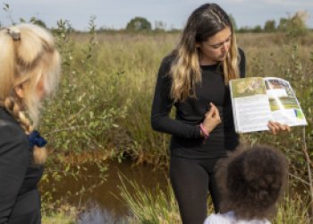 Enfants lors d'une animation au parc des Jalles