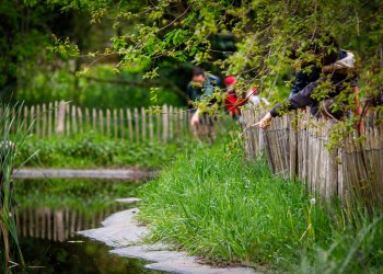 Enfants et parents devant un plan d'eau observant la biodiversité