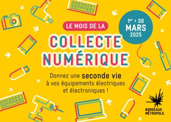 Le mois de la collecte numérique du 1er au 30 mars 2025