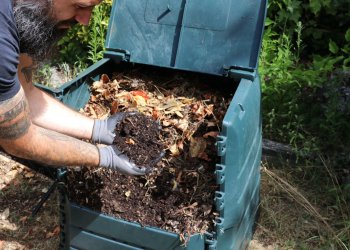 Visuel d'un agent métropolitain tenant dans ses mains du compost au-dessus d'un composteur Bordeaux Métropole