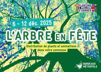 Affiche de l'arbre en fête 2025. Les dates 6 12 decembre sont affichées. Le logo 1 million d'arbres est présent. L'affiche est une dessin d'un arbre vert.