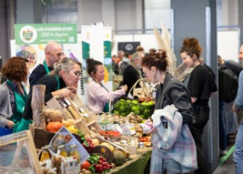 Visuel d'un marché local et solidaire pendant le GSEF 2025