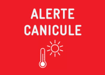 Alerte canicule