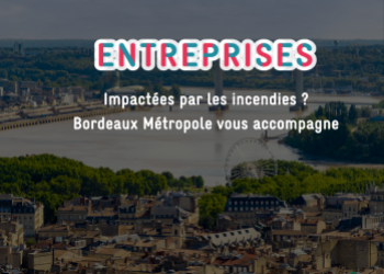 Vue de bordeaux avec l'écriture "Entreprise impactées, faites vous connaitre" 