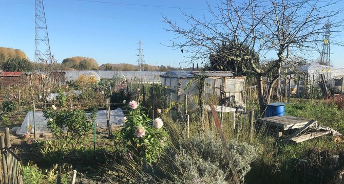 photo d'une zone maraichère à Eysines