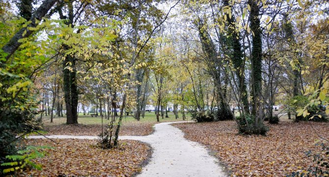 Photo du bois de Menespey