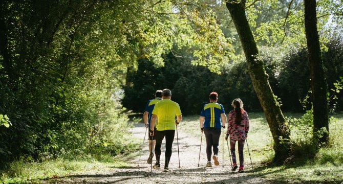 Marche nordique dans la nature