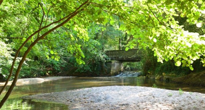 photo de la rivière de Martignas-sur-Jalle