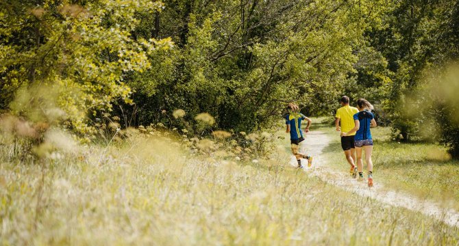 Trail dans la nature