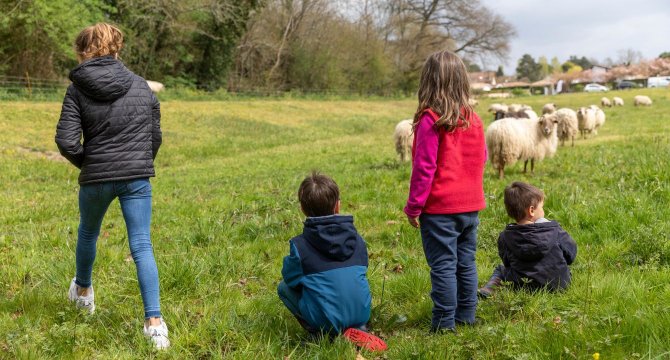 photo d'une animation au parc des Jalles