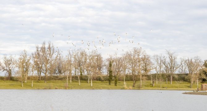 Photo d'une vue sur un lac et un champs