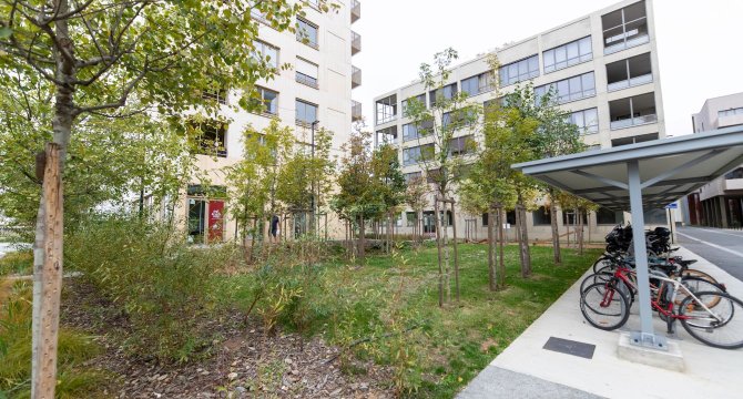 Vue du quartier avec un rangement de vélo