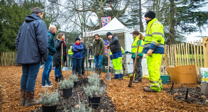 Personnes en tenue pour planter des arbres dans un parc