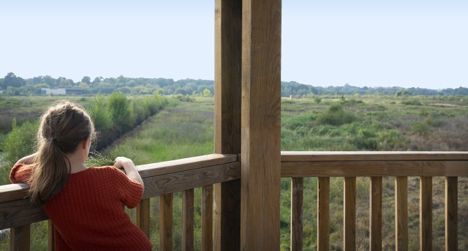 Une petite fille regarde l'horizon et le marais d'olives depuis une terrasse en bois.