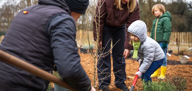 Famille plantant des arbres