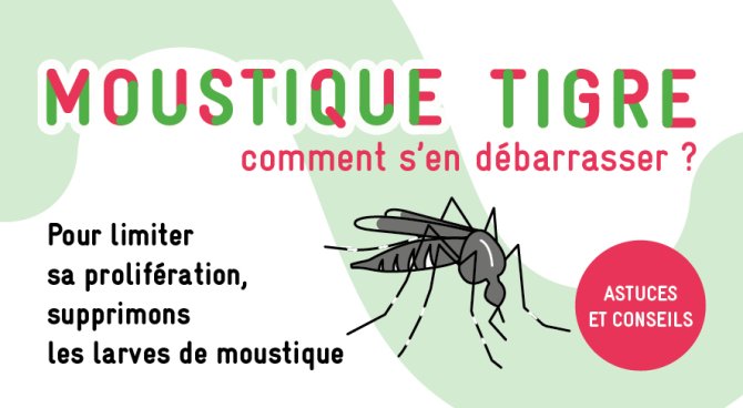 Les nouvelles stratégies de lutte contre les moustiques