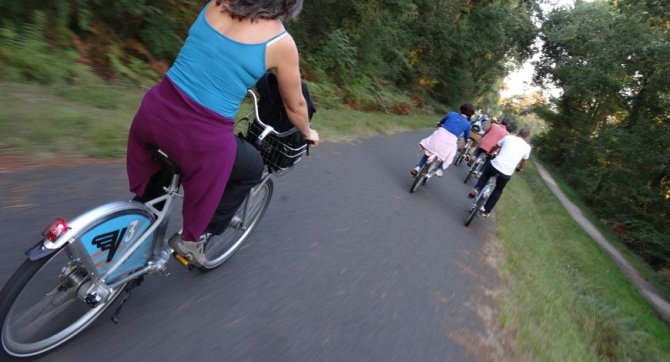 Velo en forêt