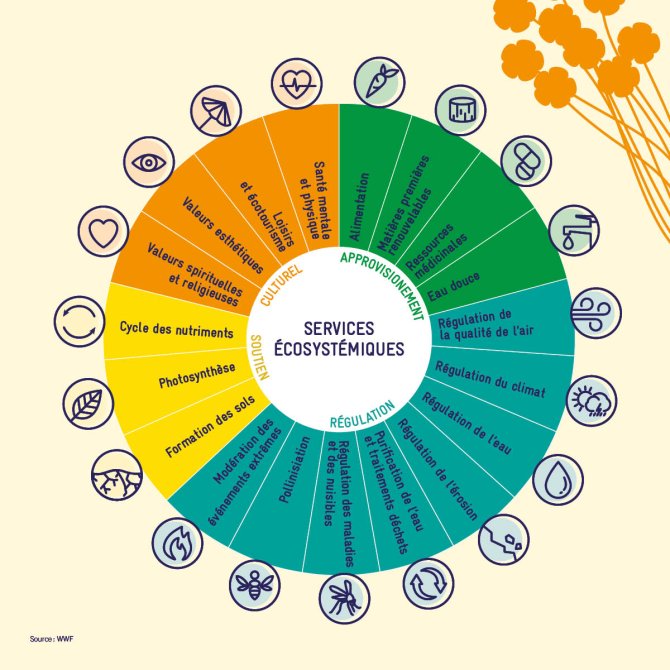 schéma services écosystémiques