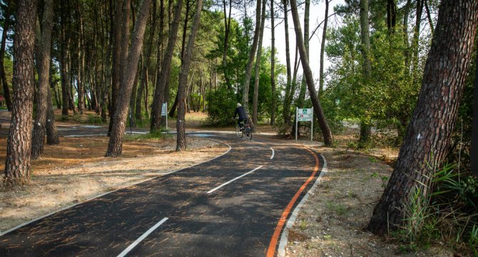 Vue du parcours Reve à Bruges avec un cycliste dans les bois