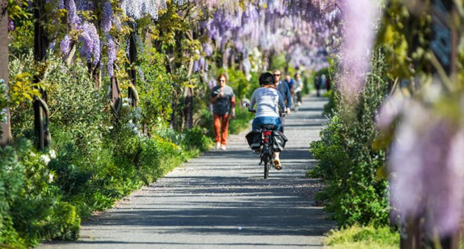 Vélo sur une piste cyclable bordée par la nature