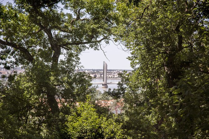 Pont Chaban Delams à travers les arbres