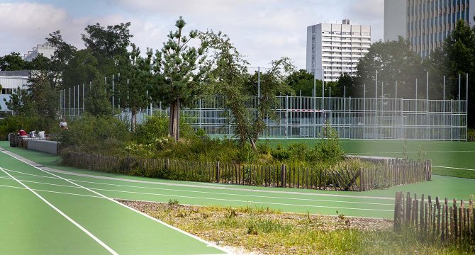 Pistes d’athlétismes du GP3, juin 2023