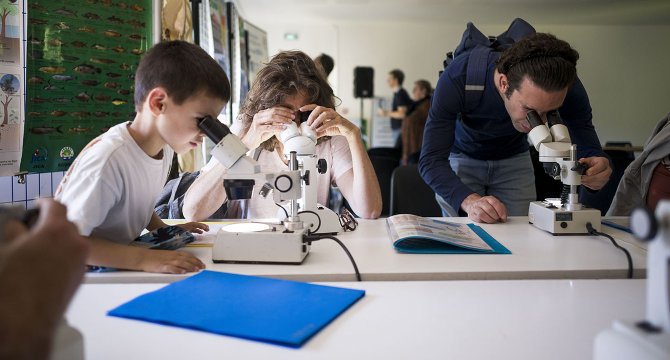 3 personnes regardant dans des microscopes