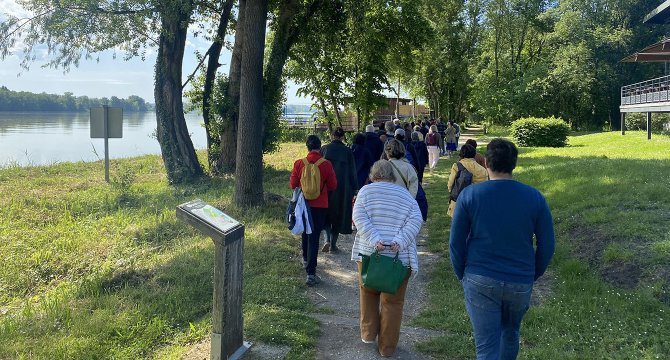 Balade sur l'île d'Arcins
