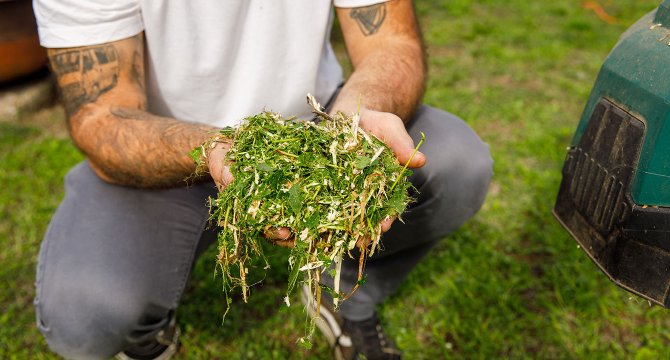 Homme avec le résultat de broyat dans ses mains