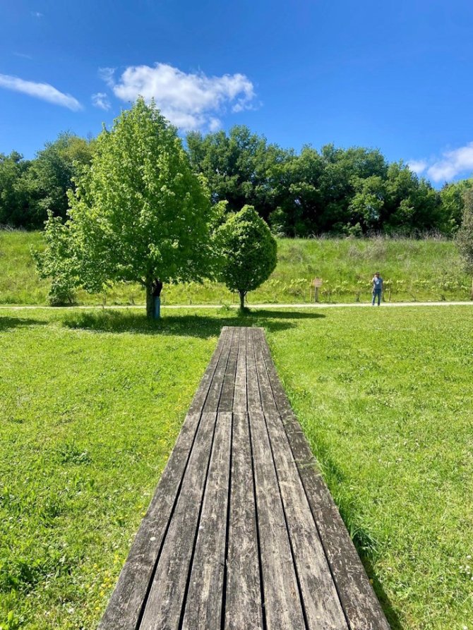 1er prix jeunes : Appoline Lopez Baptista Titre : Asymétrie – photo prise au Parc du Cypressat à Cenon