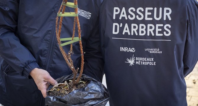 Passeur d'arbres inscrit au dos d'un blouson