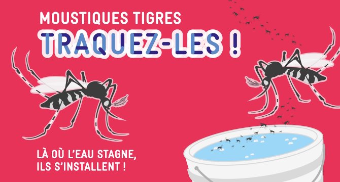Moustiques tigres : traquez-les