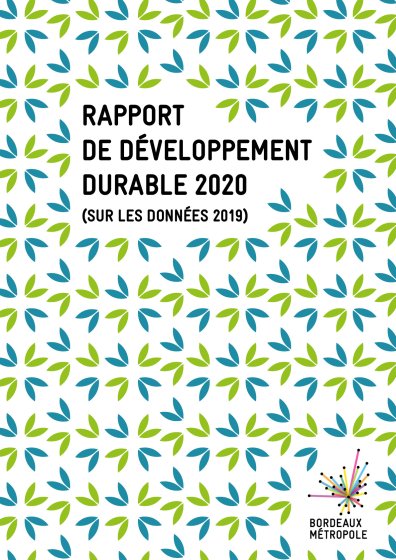rapport développement durable 2020